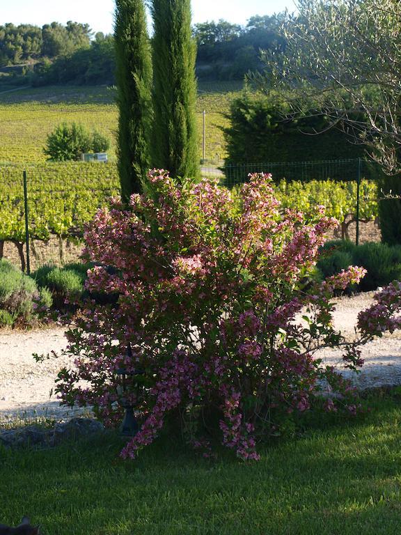 Bed and Breakfast Jardin D'Antan Ansouis Exterior foto