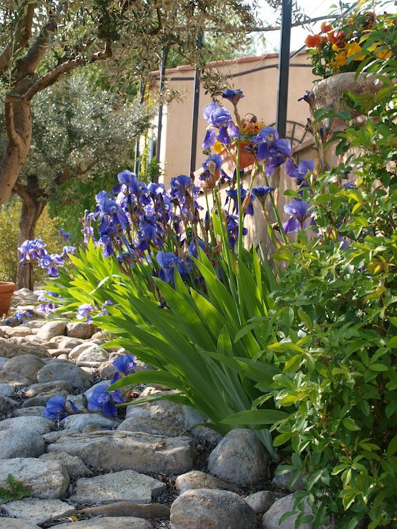 Bed and Breakfast Jardin D'Antan Ansouis Exterior foto